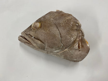 1-4 lb Grouper Head (10lbs)