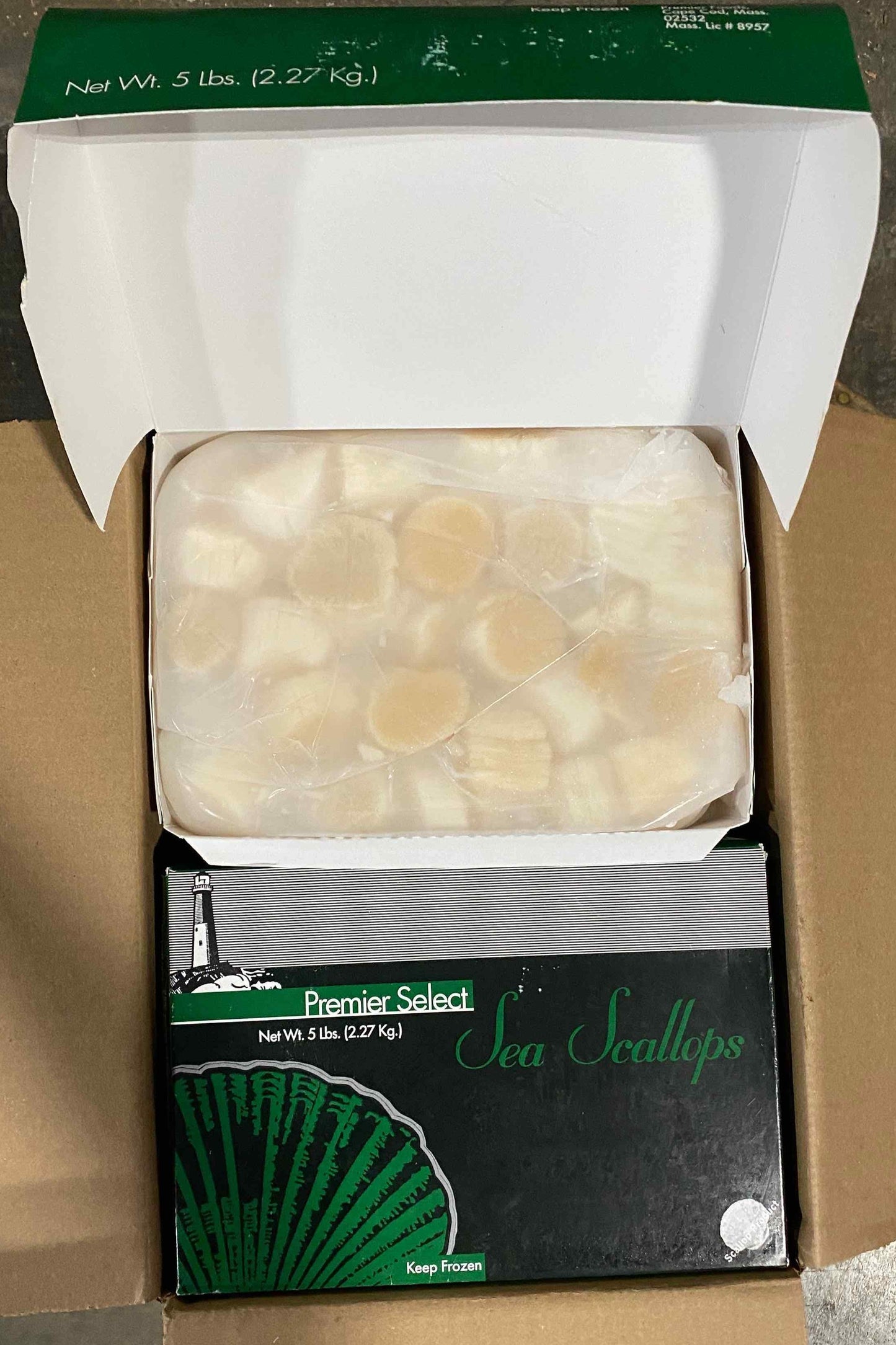 Block Scallop (50 lb)