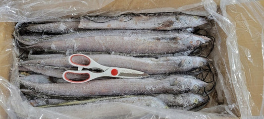 Ribbon Fish (22.1 lb)