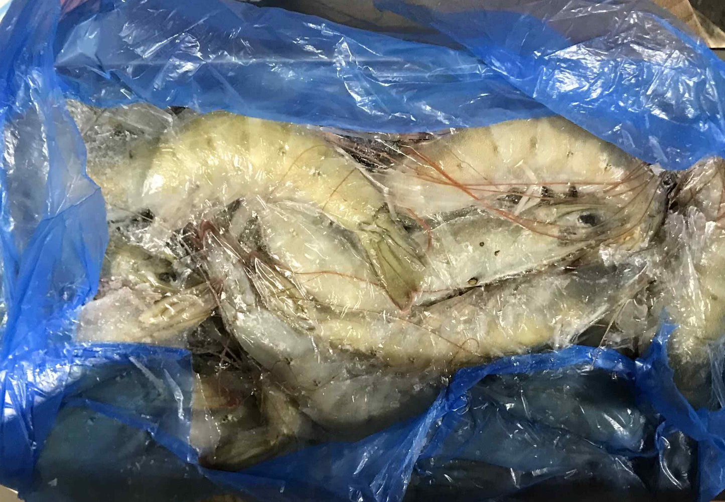 Head On Shrimp (24 lb / 40 lb)