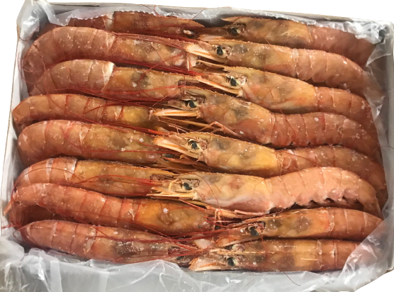 Argentina Red Shrimp (12 kg)