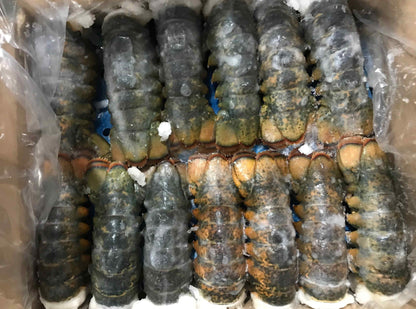 Cold Water / Warm Water Lobster Tail (10 lb)